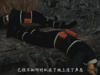 为某煤矿制作的一氧化碳中毒变乱警示片日前实现