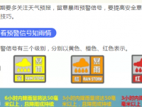 暴雨行人安全手册