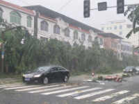 突发！！海南中卫产生龙卷风已造成8人殒命