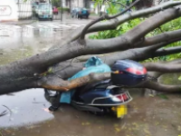 台风防备重点你知晓吗？？？